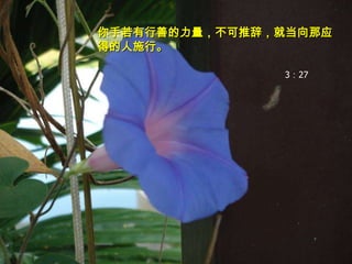 你手若有行善的力量，不可推辞，就当向那应得的人施行。箴言 3：27