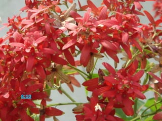 尼希米记 8:10 又对他们说，你们去吃肥美的，喝甘甜的，有不能预备的，就分给他。因为今日是我们主的圣日。你们不要忧愁，因靠耶和华而得的喜乐是你们的力量。