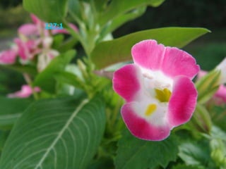 诗篇 127:1 若不是耶和华建造房屋，建造的人就枉然劳力。若不是耶和华看守城池，看守的人就枉然儆醒。 