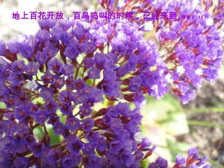 地上百花开放，百鸟鸣叫的时候，已经来到（雅歌 2：12）