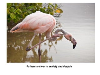 Fathers answer to anxiety and despair 