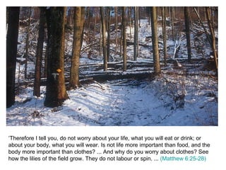 ‘Therefore I tell you, do not worry about your life, what you will eat or drink; or about your body, what you will wear. Is not life more important than food, and the body more important than clothes? ... And why do you worry about clothes? See how the lilies of the field grow. They do not labour or spin. ...  (Matthew 6:25-28) 