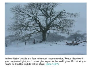 In the midst of trouble and fear remember my promise for; ‘Peace I leave with you; my peace I give you. I do not give to you as the world gives. Do not let your hearts be troubled and do not be afraid.  (John 14:27) 
