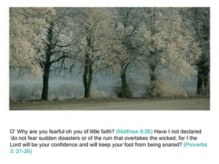 O’ Why are you fearful oh you of little faith?  (Matthew 8:26)  Have I not declared ‘do not fear sudden disasters or of the ruin that overtakes the wicked, for I the Lord will be your confidence and will keep your foot from being snared?  (Proverbs 3: 21-26) 