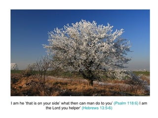 I am he ‘that is on your side’ what then can man do to you’  (Psalm 118:6)  I am the Lord you helper’  (Hebrews 13:5-6) 