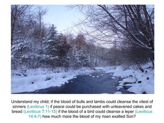 Understand my child; if the blood of bulls and lambs could cleanse the vilest of sinners  (Leviticus 1)  if peace could be purchased with unleavened cakes and bread  (Leviticus 7:11-15)  if the blood of a bird could cleanse a leper  (Leviticus 14:4-7)  how much more the blood of my risen exalted Son? 