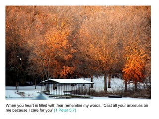 When you heart is filled with fear remember my words, ‘Cast all your anxieties on me because I care for you’  (1 Peter 5:7) 