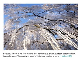 Beloved, ‘There is no fear in love. But perfect love drives out fear, because fear brings torment. The one who fears is not made perfect in love’  (1 John 4:18) 