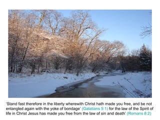 ‘Stand fast therefore in the liberty wherewith Christ hath made you free, and be not entangled again with the yoke of bondage’  (Galatians 5:1)  for the law of the Spirit of life in Christ Jesus has made you free from the law of sin and death’  (Romans 8:2) 