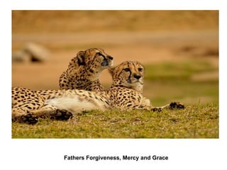 Fathers Forgiveness, Mercy and Grace 