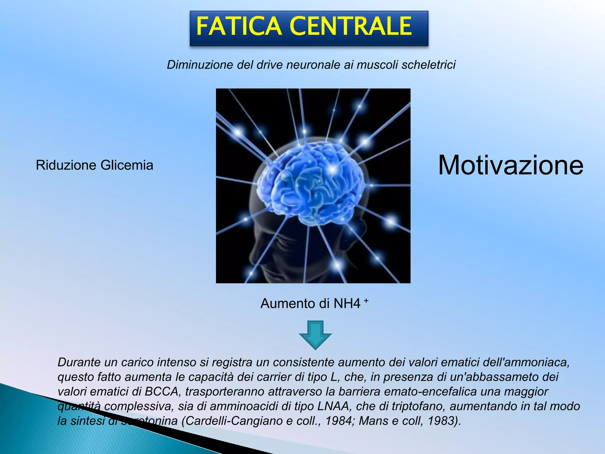 Fatica esercizio fisico e acido lattico nuovi scenari | PDF