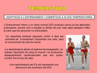 ADAPTACIÓ A L’ENTRENAMENT I COMPETICIÓ A ALTES TEMPERATURES


-L’Entrenament intens a un clima normal (22º) produeix canvis en les glàndules
sudorípares, donant com a resultat un llindar de suor més ràpid (dissipen millor
el calor que les persones no entrenades)

 -Un esportista entrenat requereix mínim 4 dies per
 aclimatar-se. Curiosament l’esportista sua més, però
 la concentració de sodi és menor.

-La deshidratació afecta al sistema termoregulador, es
redueix l’aportació de sang al muscul i es produeixen
desajustaments cardiovasculars que ens poden
conduir fins al cop de calor.

    -Una deshidratació del 5% pot representa una
          disminució del rendiment del 50%
 