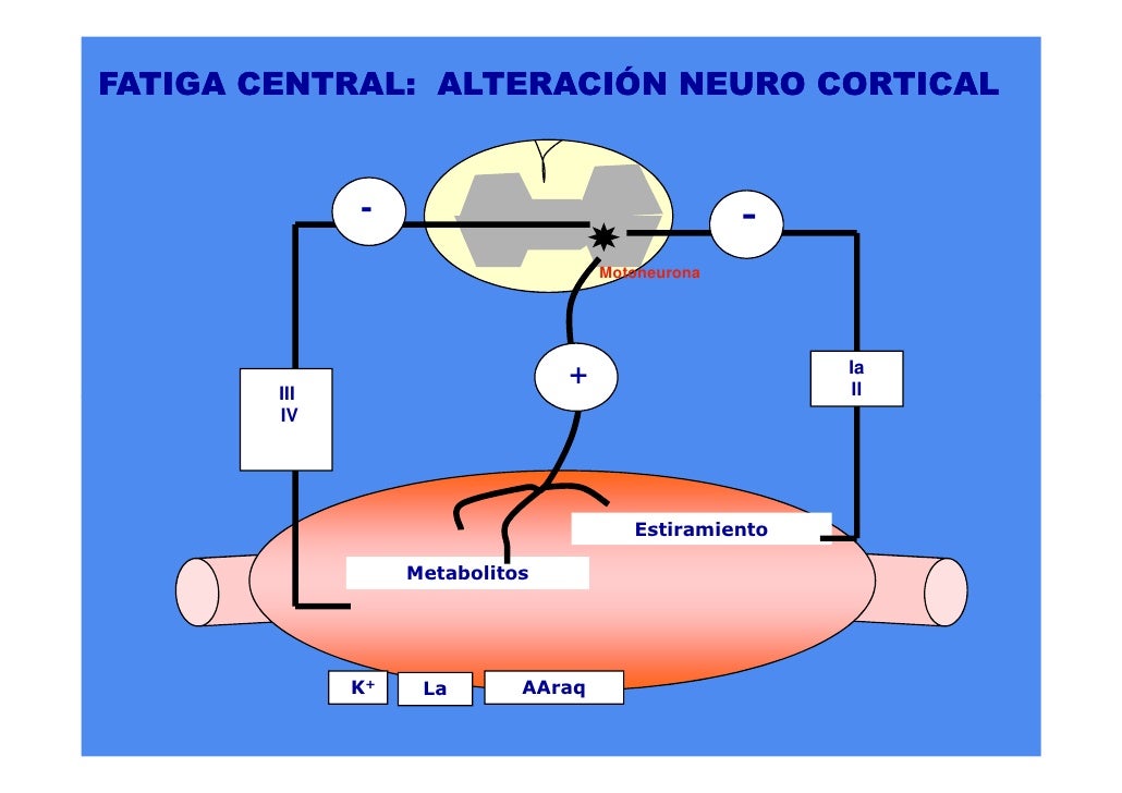 Fatiga Sobrentrenamiento Fatiga Sobrentrenamiento