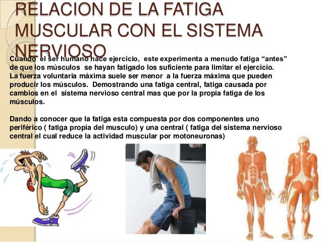 Fatiga muscular