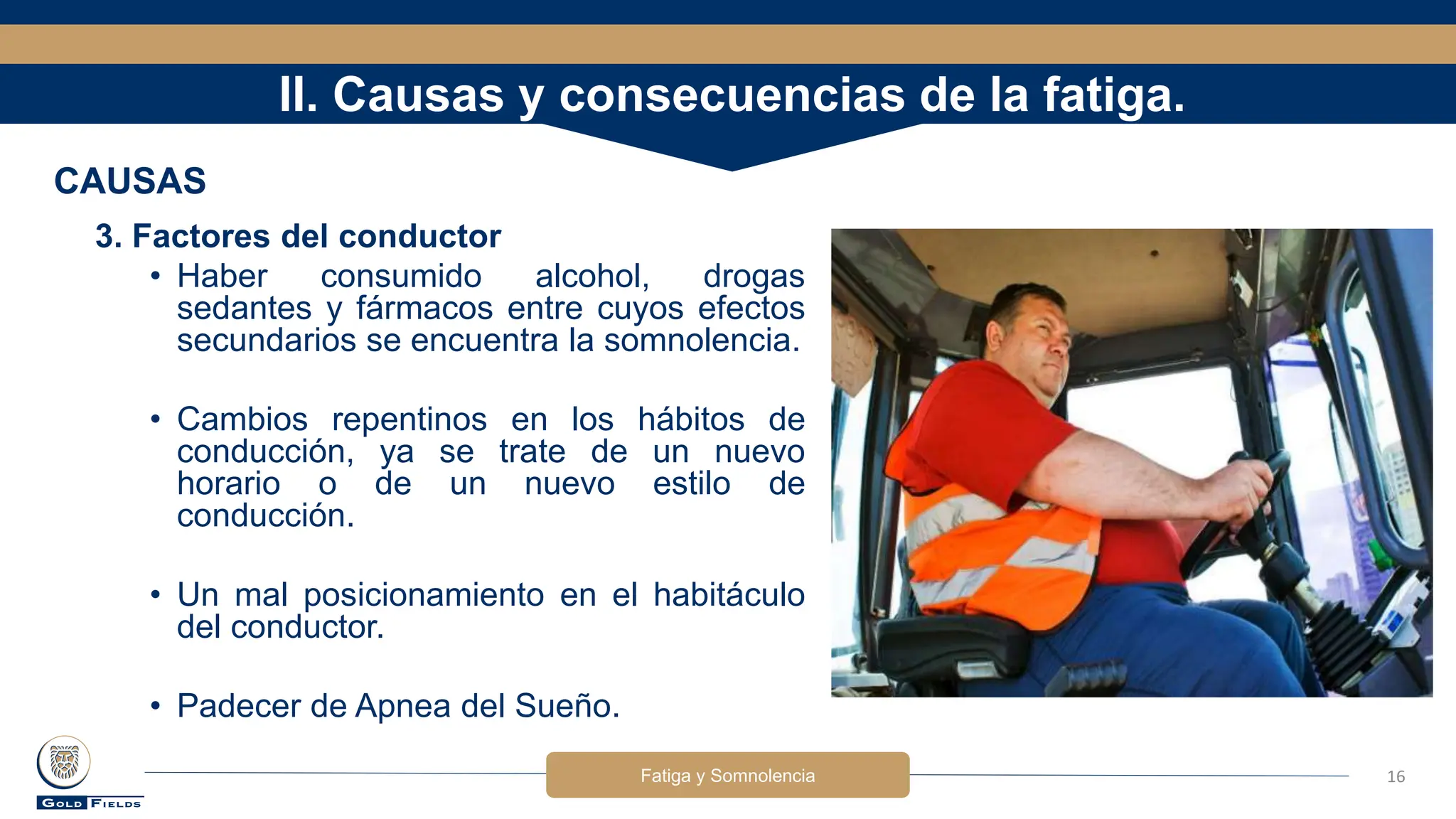 FATIGA Y SOMNOLENCIA en el ambiente de trabajo | PPTX