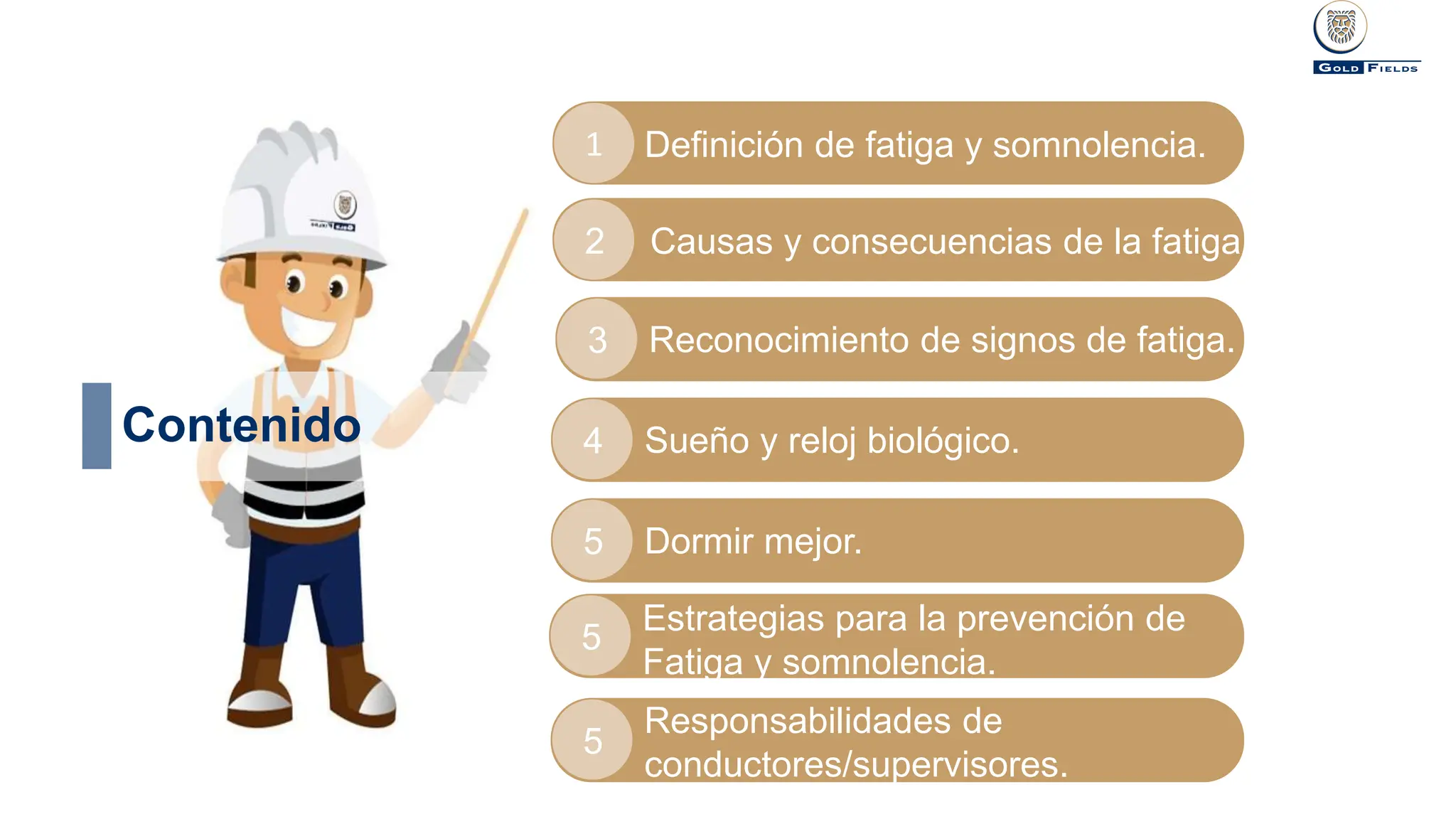 FATIGA Y SOMNOLENCIA en el ambiente de trabajo | PPTX