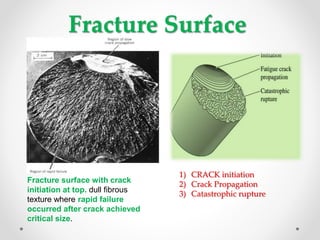 Fatigue Mechanics of Materials | PPTX