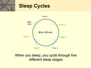 Sleep Cycles
When you sleep, you cycle through five
different sleep stages
Stage 2
Stage 3
Stage 1
REM
sleep
Stage 4
Stage 3
90 to 120 min.
Stage 2
 