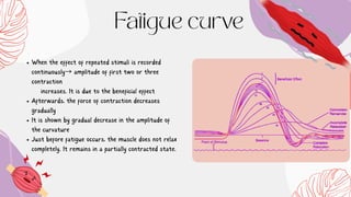 Comprehensive Overview of Skeletal Muscle Fatigue: Mechanisms, Causes ...