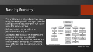 Running Economy
• The ability to run at a submaximal pace
using less energy and/or oxygen (run the
same pace with less energy or run faster
using the same energy)
• Helps explains the variations in
performance in VO2 Max
• Attributed to: increase in mitochondria
numbers, increase in metabolic
enzymes, muscular abilities to store and
release elastic energy (stretch reflex),
more efficient bio-mechanics (running
form)9 Saunders, et al. p. 470
 