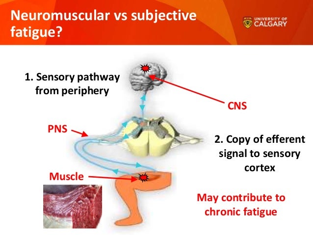 define pathological fatigue define pathological fatigue