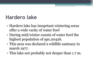 Hardero lake
• Hardero lake has imoprtant wintering areas
offer a wide varity of water fowl
• During mid/winter counts of water fowl the
highest population of apx.20426.
• This area was declared a wildlife santuary in
march 1977.
• This lake not probably not deeper than 1.7 m.
 