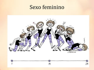 Sexo feminino
 