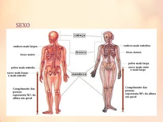 SEXO
 
