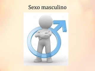 Sexo masculino
 