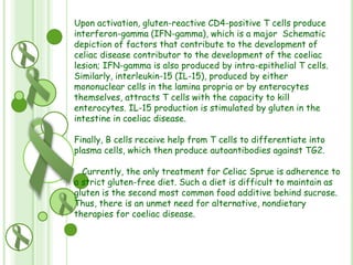 Upon activation, gluten-reactive CD4-positive T cells produce
interferon-gamma (IFN-gamma), which is a major Schematic
depiction of factors that contribute to the development of
celiac disease contributor to the development of the coeliac
lesion; IFN-gamma is also produced by intra-epithelial T cells.
Similarly, interleukin-15 (IL-15), produced by either
mononuclear cells in the lamina propria or by enterocytes
themselves, attracts T cells with the capacity to kill
enterocytes. IL-15 production is stimulated by gluten in the
intestine in coeliac disease.
Finally, B cells receive help from T cells to differentiate into
plasma cells, which then produce autoantibodies against TG2.
Currently, the only treatment for Celiac Sprue is adherence to
a strict gluten-free diet. Such a diet is difficult to maintain as
gluten is the second most common food additive behind sucrose.
Thus, there is an unmet need for alternative, nondietary
therapies for coeliac disease.

 