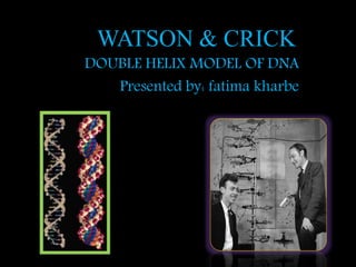 WATSON & CRICK
DOUBLE HELIX MODEL OF DNA
Presented by: fatima kharbe
 