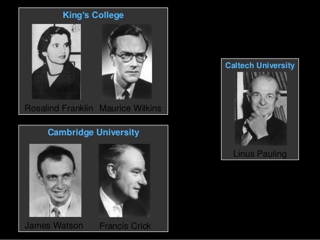 9 james watson francis crick