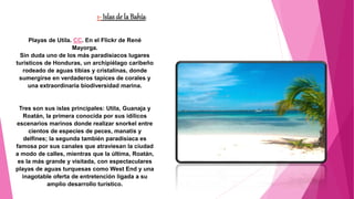 1- Islas de la Bahía:
Playas de Utila. CC. En el Flickr de René
Mayorga.
Sin duda uno de los más paradisiacos lugares
turísticos de Honduras, un archipiélago caribeño
rodeado de aguas tibias y cristalinas, donde
sumergirse en verdaderos tapices de corales y
una extraordinaria biodiversidad marina.
Tres son sus islas principales: Utila, Guanaja y
Roatán, la primera conocida por sus idílicos
escenarios marinos donde realizar snorkel entre
cientos de especies de peces, manatís y
delfines; la segunda también paradisiaca es
famosa por sus canales que atraviesan la ciudad
a modo de calles, mientras que la última, Roatán,
es la más grande y visitada, con espectaculares
playas de aguas turquesas como West End y una
inagotable oferta de entretención ligada a su
amplio desarrollo turístico.
 