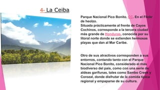 4- La Ceiba:
Parque Nacional Pico Bonito. CC. En el Flickr
de heolzo.
Situada prácticamente al frente de Cayos
Cochinos, corresponde a la tercera ciudad
más grande de Honduras, conocida por su
litoral norte donde se extienden hermosas
playas que dan al Mar Caribe.
Otro de sus atractivos corresponden a sus
entornos, contando tanto con el Parque
Nacional Pico Bonito, considerado el más
biodiverso del país, como con una serie de
aldeas garífunas, tales como Sambo Creek y
Corozal, donde disfrutar de la comida típica
regional y empaparse de su cultura.
 