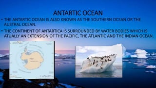 ANTARTIC OCEAN
• THE ANTARTIC OCEAN IS ALSO KNOWN AS THE SOUTHERN OCEAN OR THE
AUSTRAL OCEAN.
• THE CONTINENT OF ANTARTICA IS SURROUNDED BY WATER BODIES WHICH IS
ATUALLY AN EXTENSION OF THE PACIFIC, THE ATLANTIC AND THE INDIAN OCEAN.
 