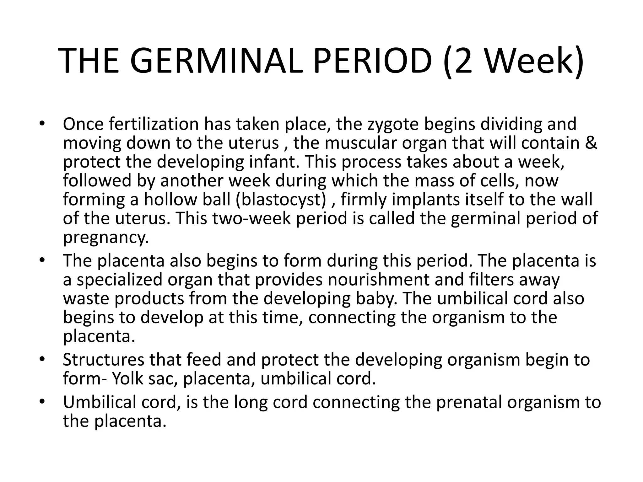 The First Trimester Of Pregnancy Quizlet - 8xzradh