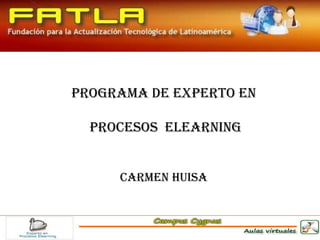 Febrero, 2011 Carmen Huisa Programa de Experto en  PROCESOS  Elearning CARMEN HUISA Programa Experto en Procesos Elearning 