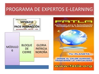 PROGRAMA DE EXPERTOS E-LEARNING 