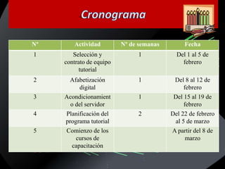 Cronograma