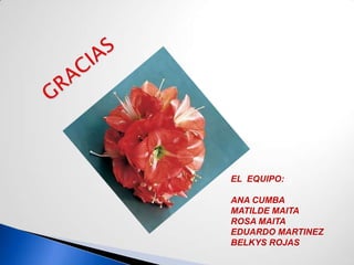 EL EQUIPO:

ANA CUMBA
MATILDE MAITA
ROSA MAITA
EDUARDO MARTINEZ
BELKYS ROJAS
 