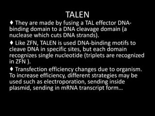 Talen Injection CRISPR | PPTX