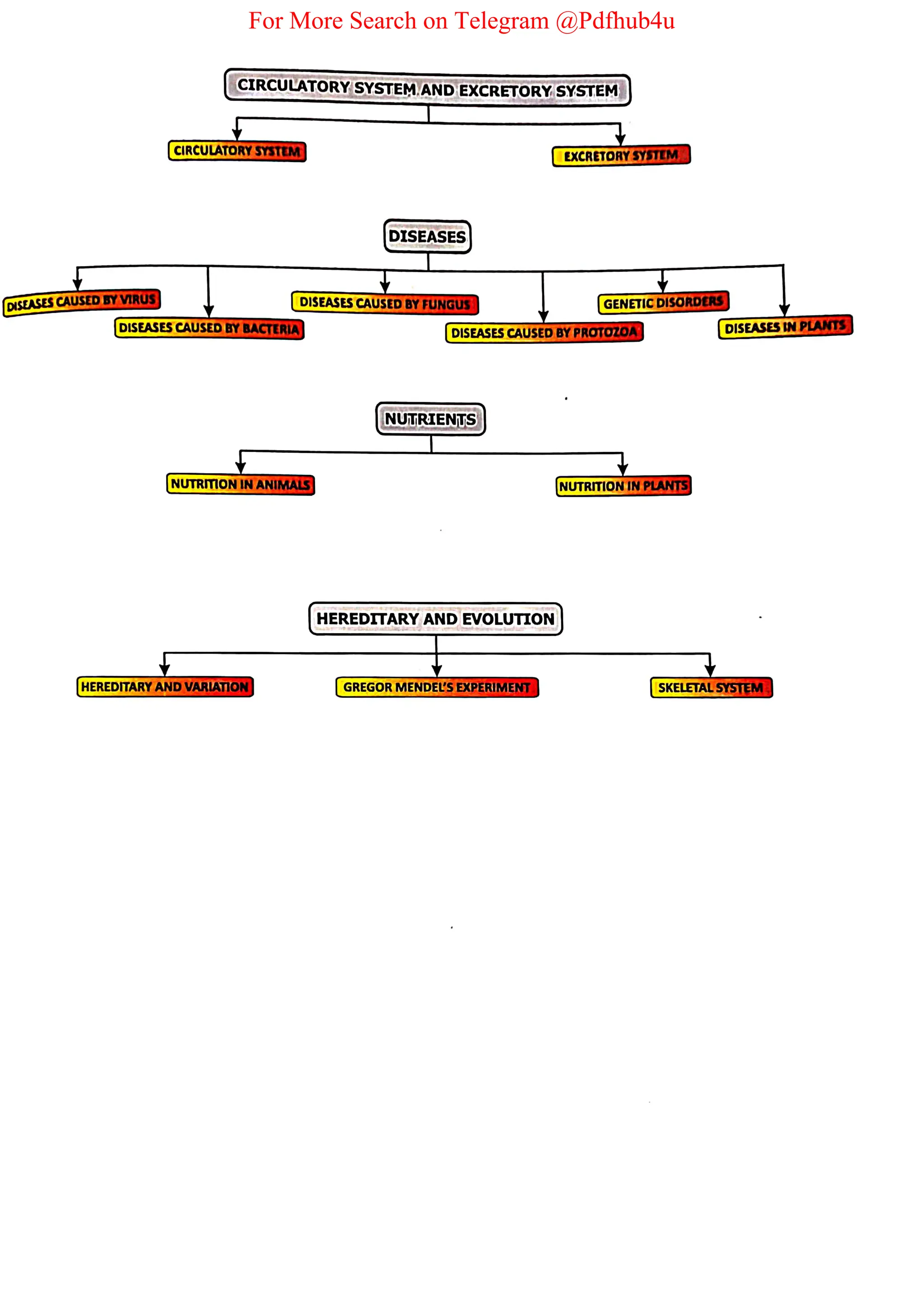 For More Search on Telegram @Pdfhub4u
 