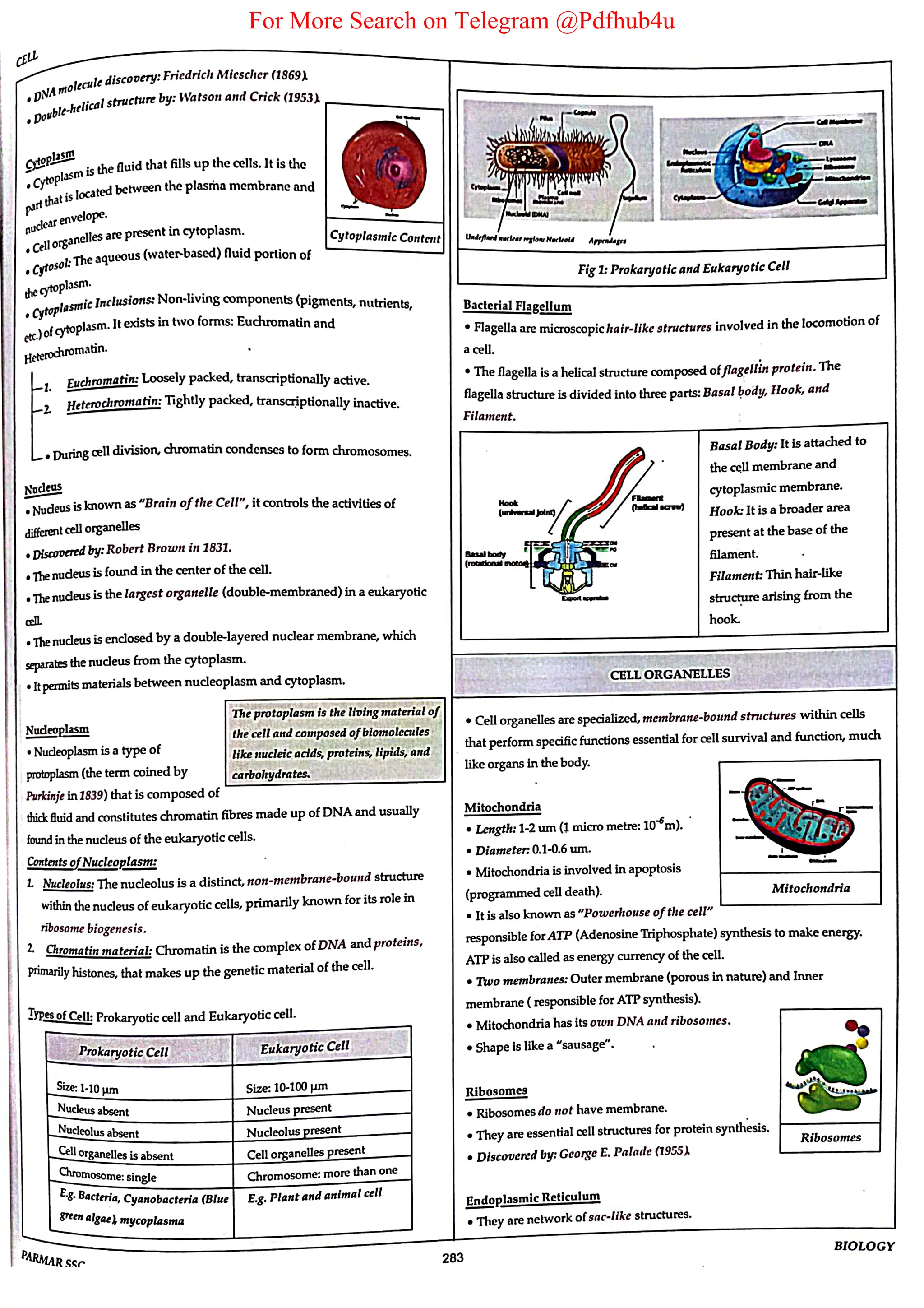 For More Search on Telegram @Pdfhub4u
 