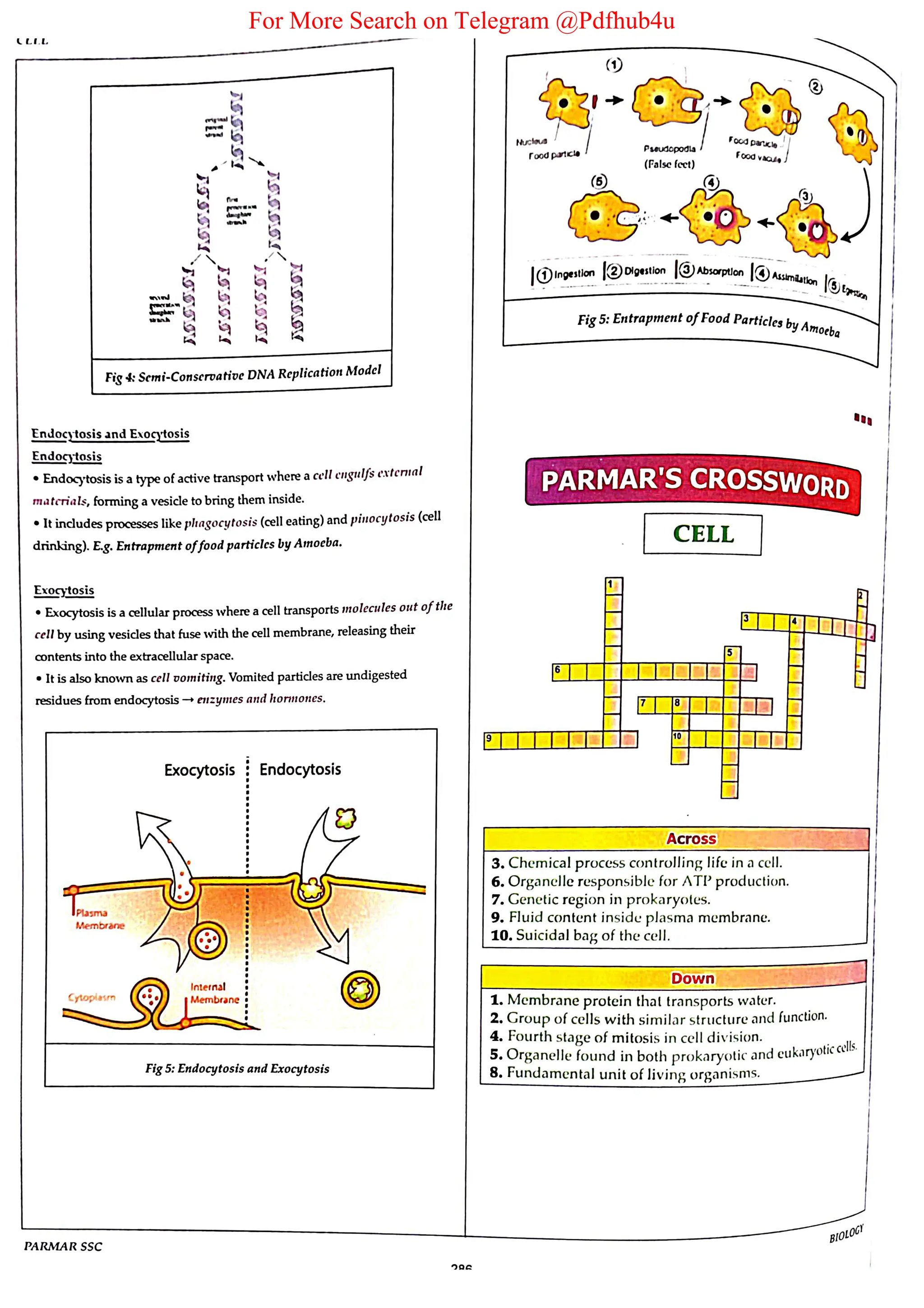 For More Search on Telegram @Pdfhub4u
 
