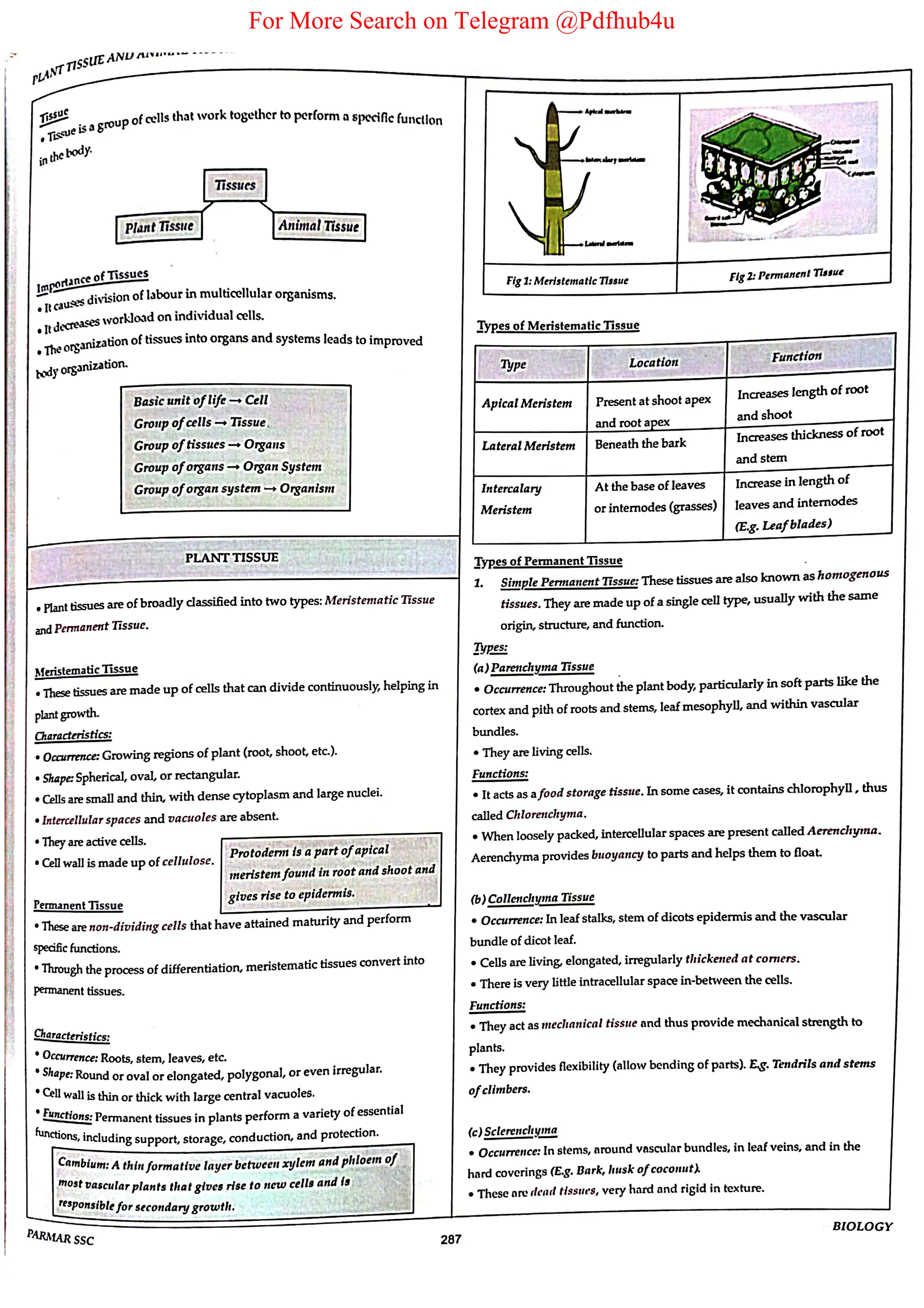 For More Search on Telegram @Pdfhub4u
 