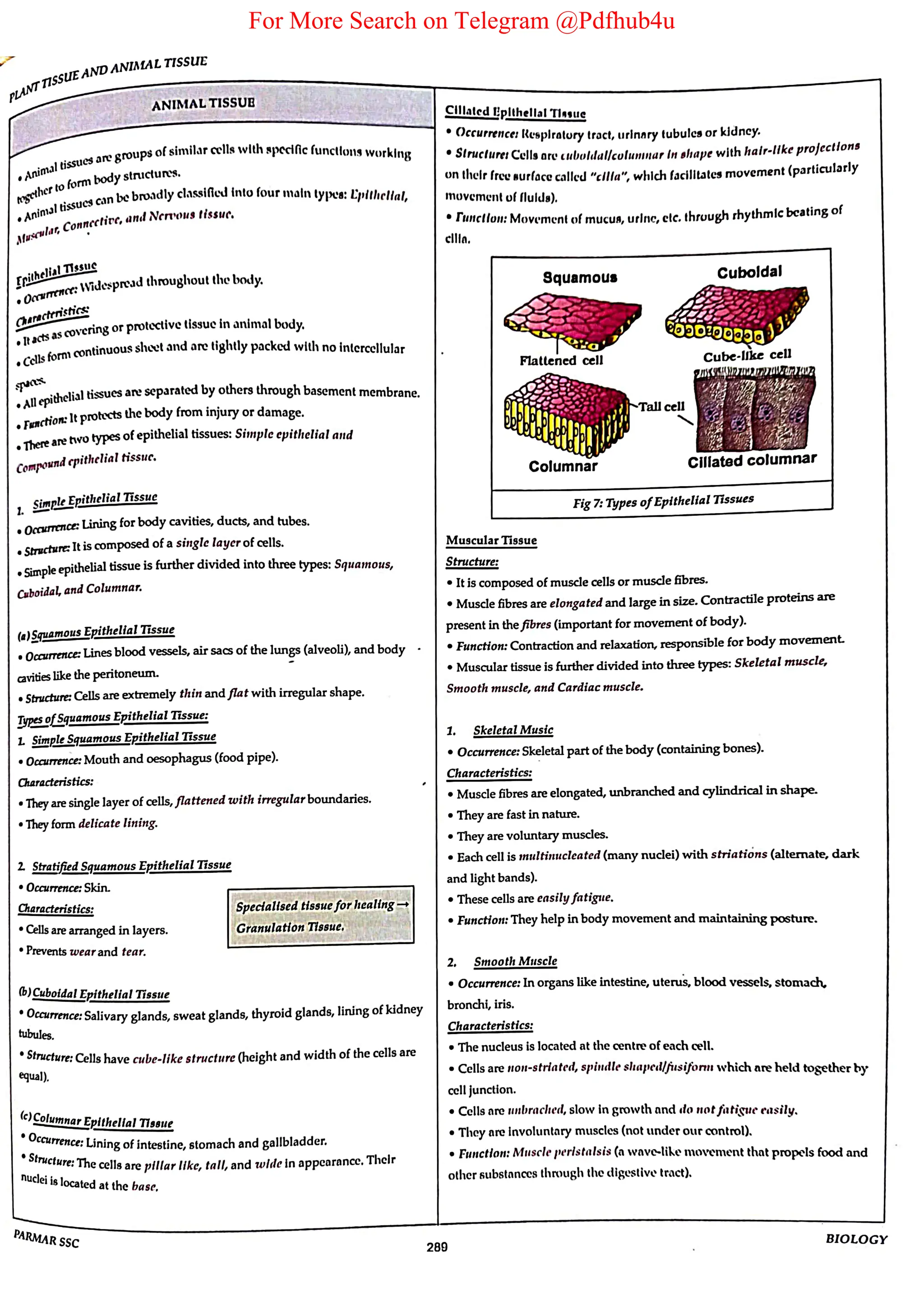 For More Search on Telegram @Pdfhub4u
 