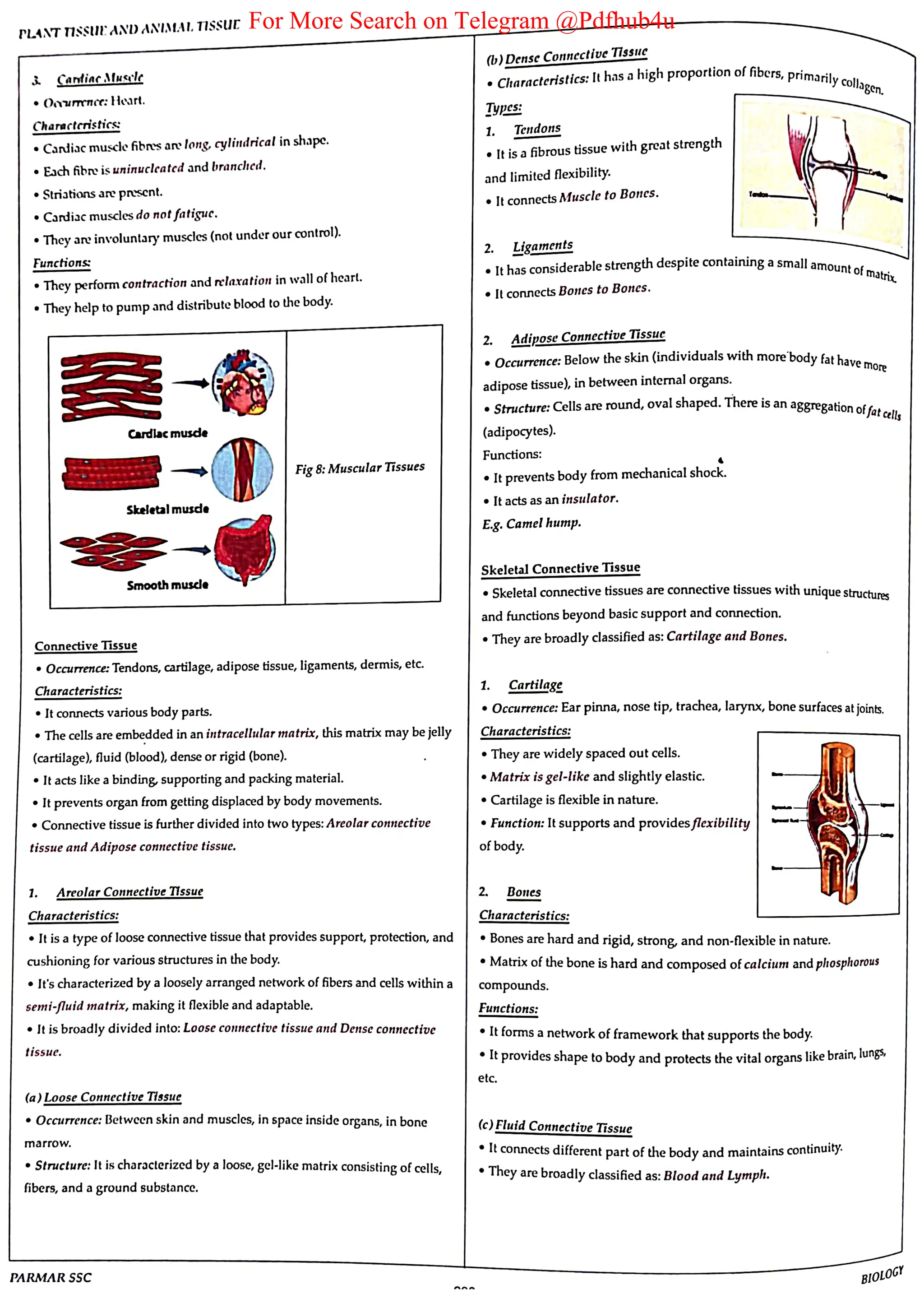 For More Search on Telegram @Pdfhub4u
 