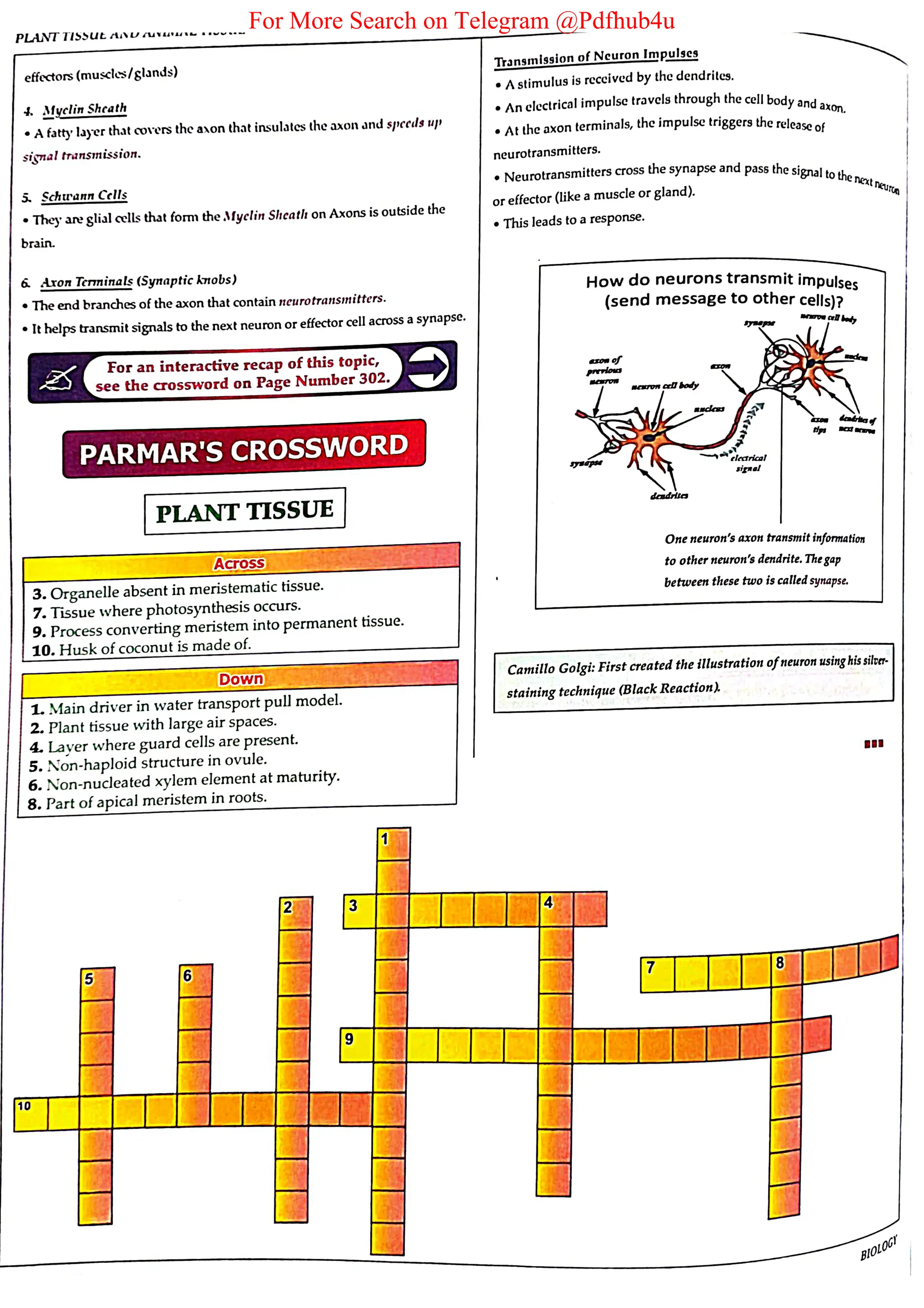 For More Search on Telegram @Pdfhub4u
 
