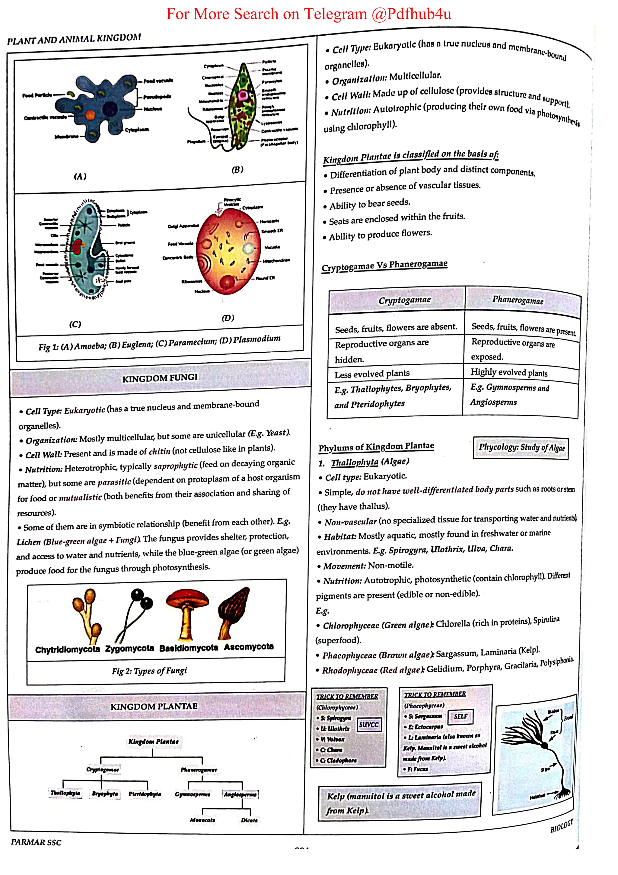 For More Search on Telegram @Pdfhub4u
 