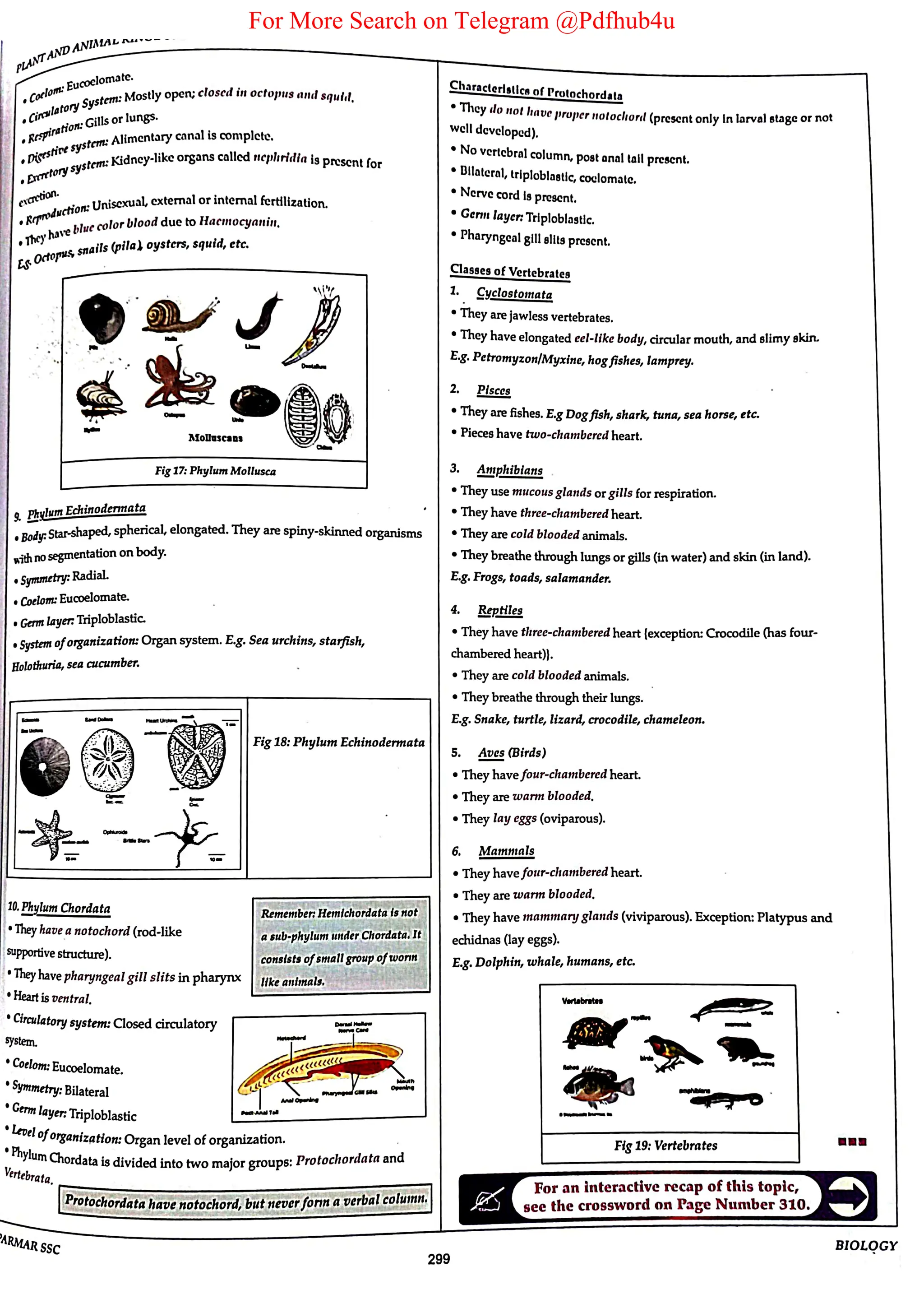 For More Search on Telegram @Pdfhub4u
 